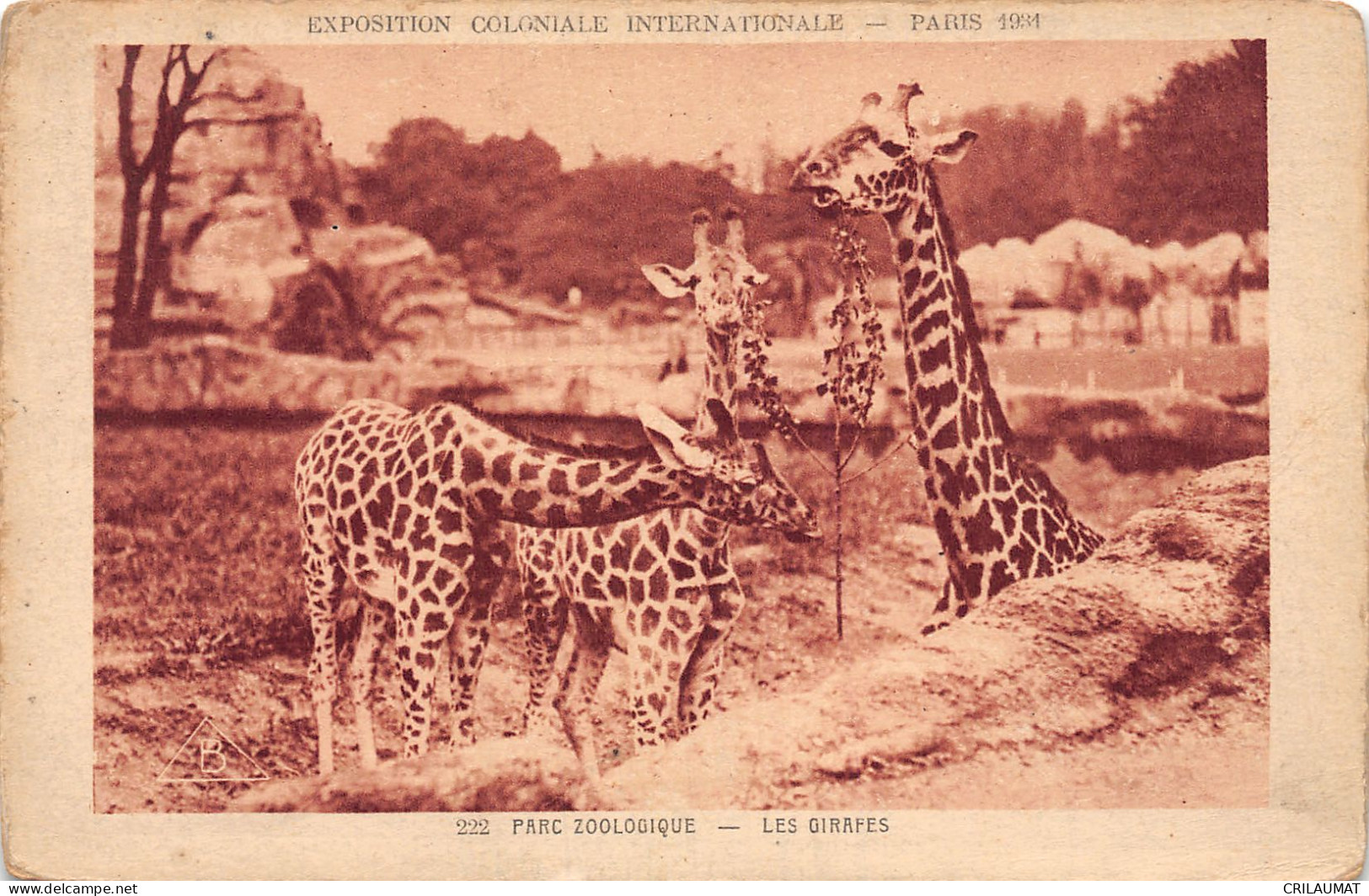 75-PARIS EXPOSITION COLONIALE INTERNATIONALE 1931 PARC ZOOLOGIQUE-N°T2924-B/0185 - Ausstellungen