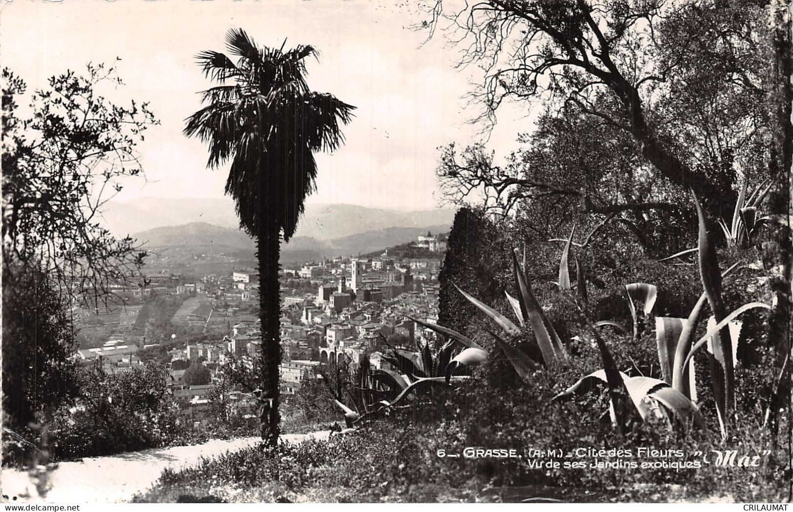 06-GRASSE-N°T2926-H/0315 - Grasse