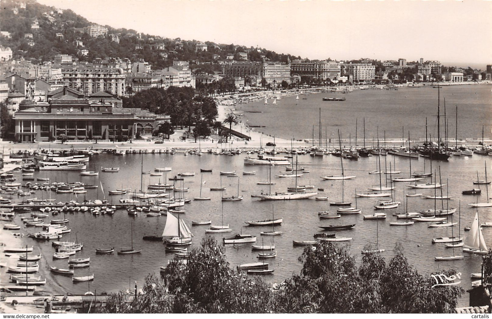 06-CANNES-N°3871-A/0345 - Cannes