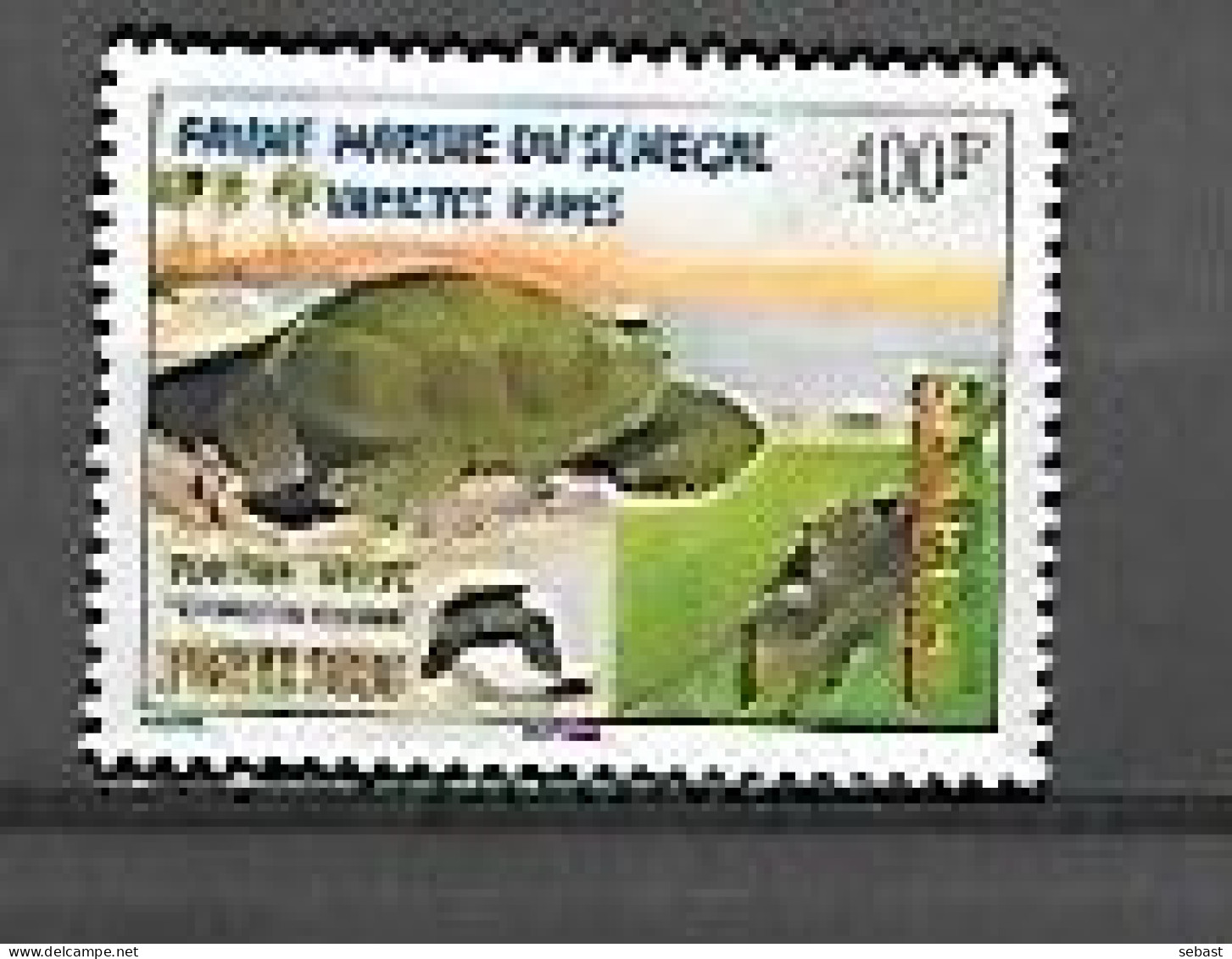 TIMBRE OBLITERE DU SENEGAL DE 2003 N° MICHEL 2028 - Sénégal (1960-...)