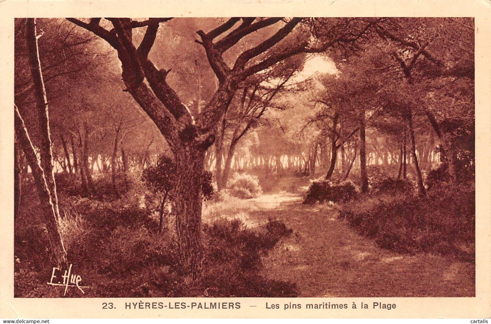 83-HYERES LES PALMIERS-N°3872-D/0283 - Hyeres