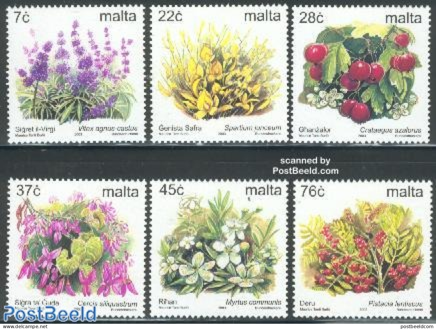 Malta 2003 Flowers 6v, Mint NH, Nature - Flowers & Plants - Malta