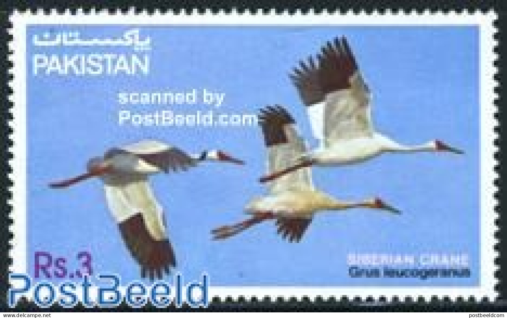 Pakistan 1983 Birds 1v, Mint NH, Nature - Birds - Storks - Pakistan