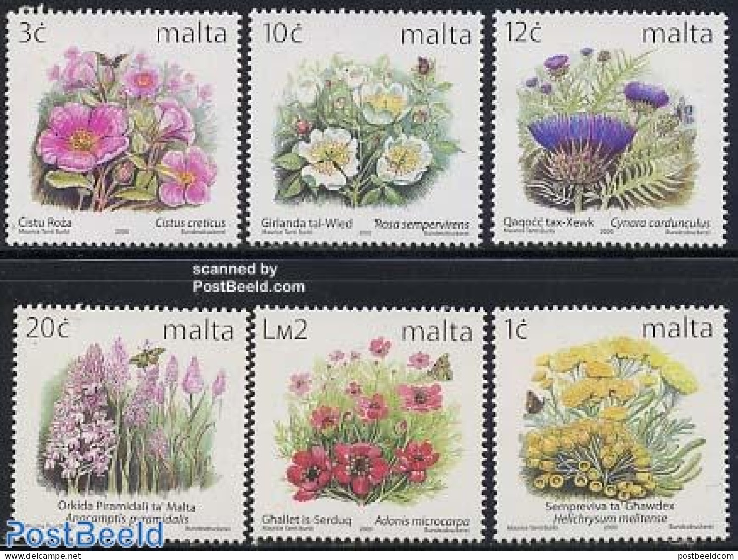 Malta 2000 Flowers 6v, Mint NH, Nature - Butterflies - Flowers & Plants - Malta