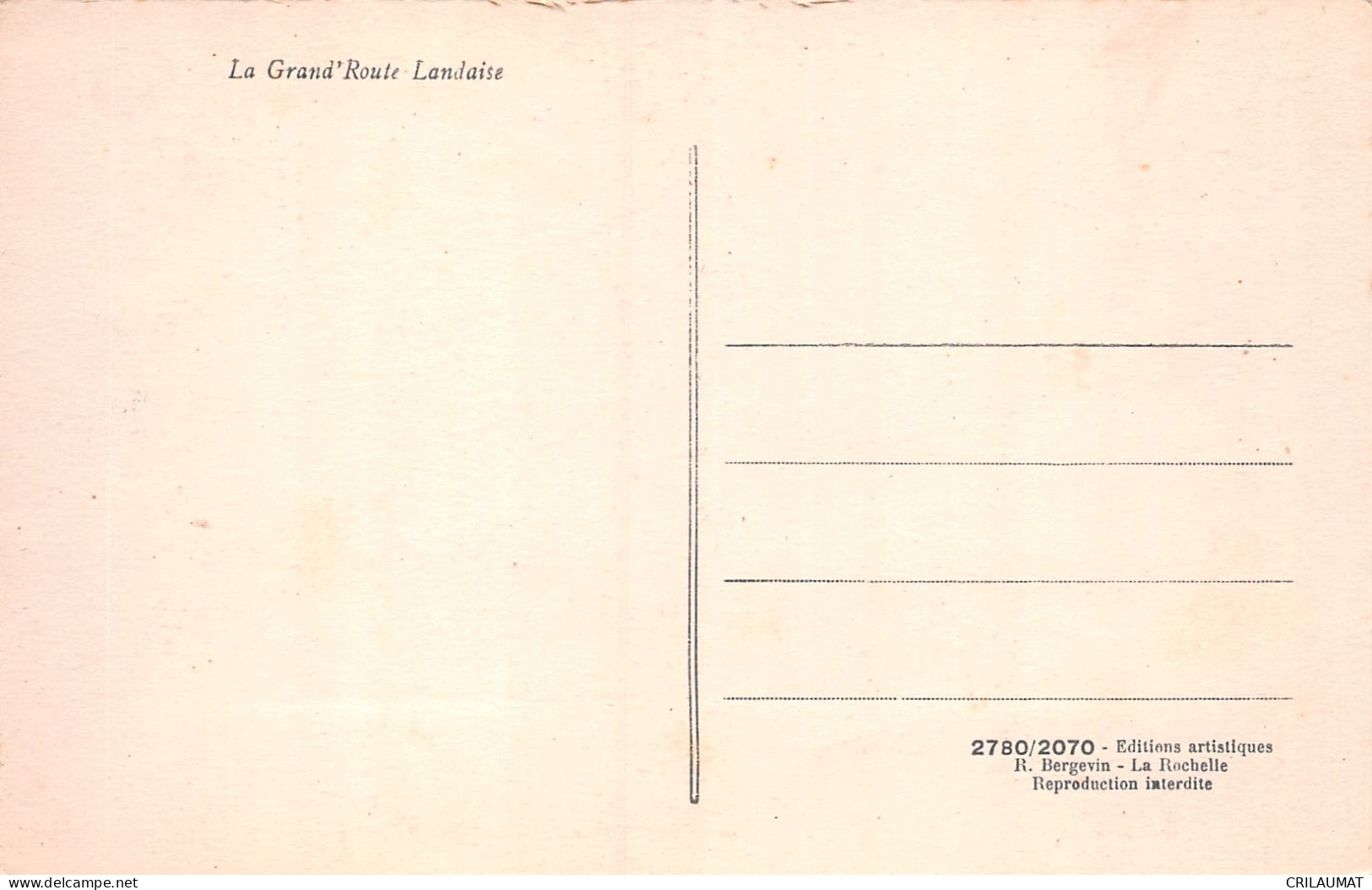 40-DANS LES LANDES-N°T2930-C/0207 - Other & Unclassified