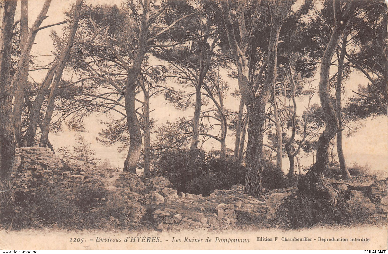 83-HYERES LES PALMIERS-N°T2930-C/0077 - Hyeres