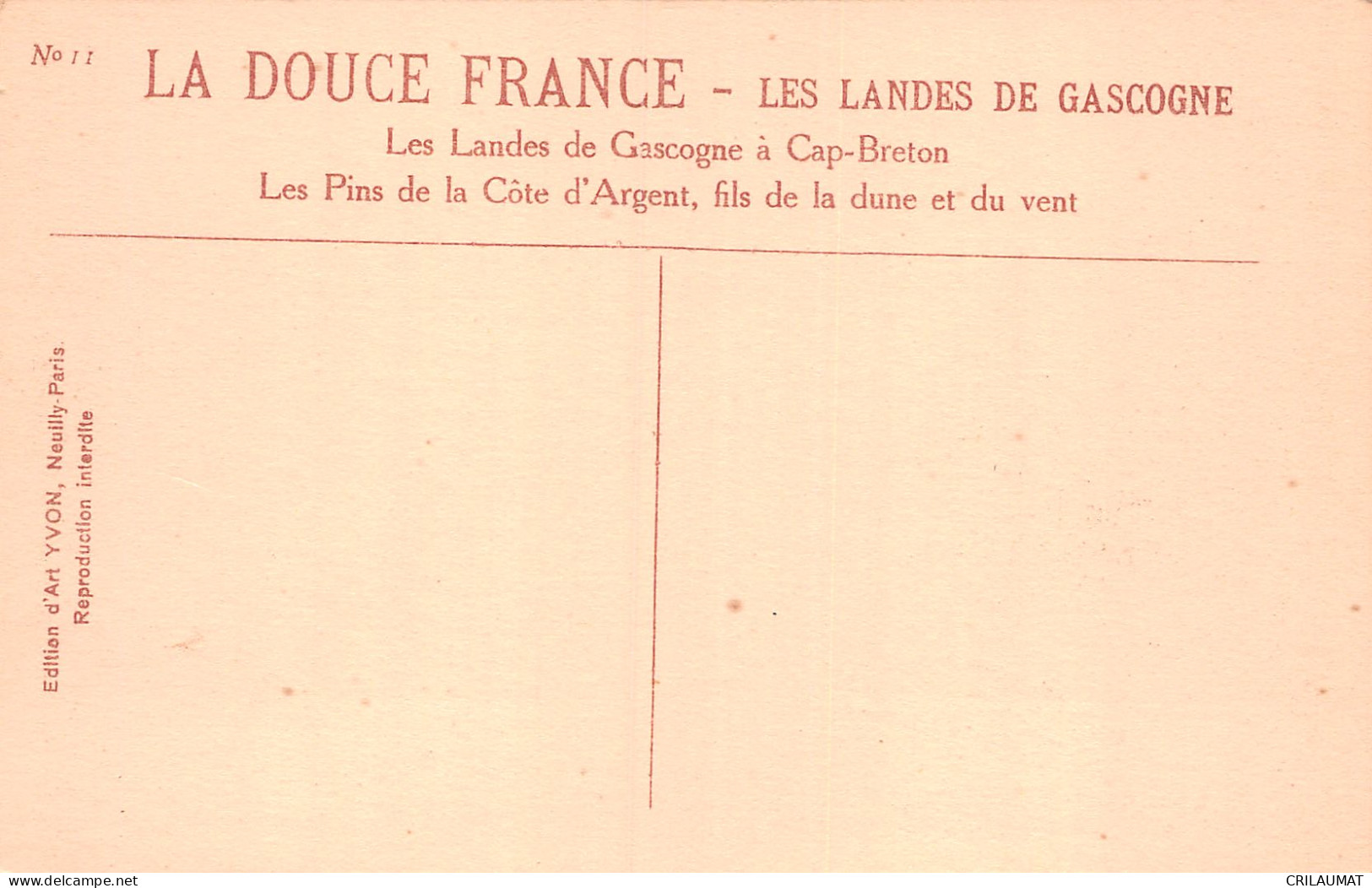 40-CAPBRETON-N°T2931-B/0359 - Capbreton