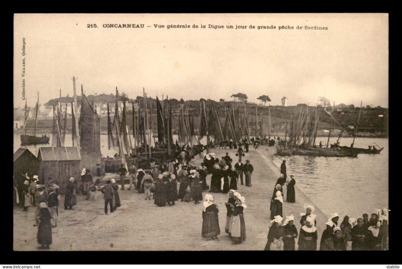 29 - CONCARNEAU - LA DIGUE UN JOUR DE GRANDE PECHE DE SARDINES - Concarneau