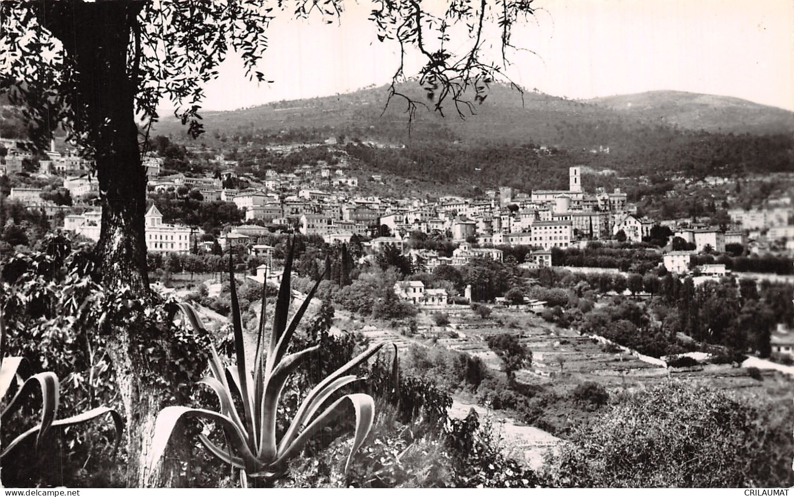 06-GRASSE-N°T2931-E/0015 - Grasse