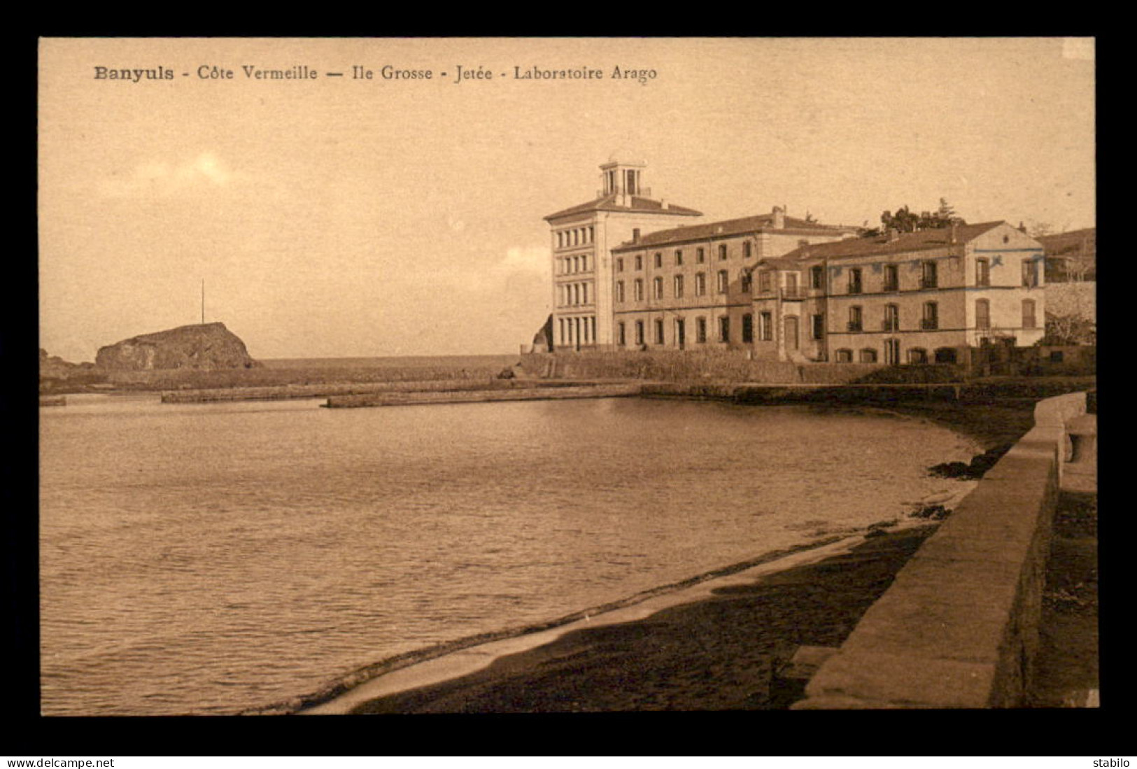 66 - BANYULS-SUR-MER - ILE GROSSE - LABORATOIRE ARAGO - Banyuls Sur Mer