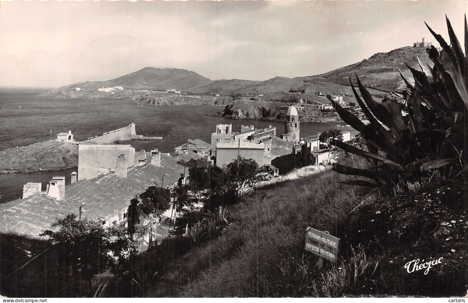 66-COLLIOURE-N°4488-D/0397 - Collioure