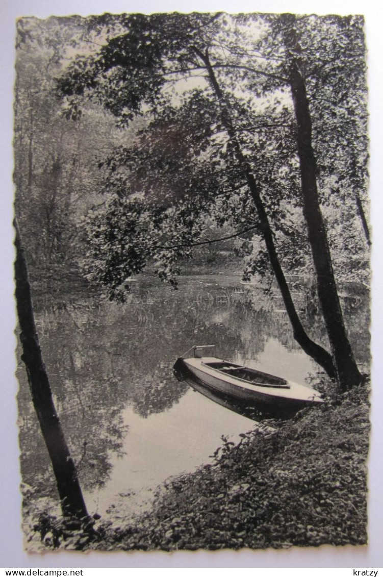 BELGIQUE - BRABANT WALLON - LASNE-CHAPELLE-SAINT-LAMBERT - Un Coin Du Lac - Lasne