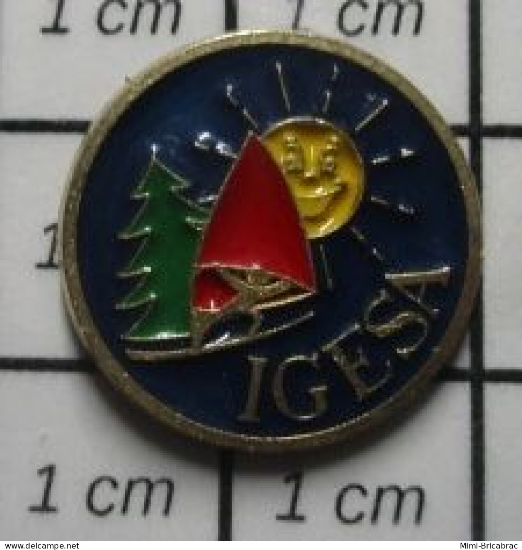 2120 Pin's Pins : BEAU ET RARE / IGESA SAPIN SOLEIL PLANCHE A VOILE Par MARTINEAU SAUMUR - Trademarks