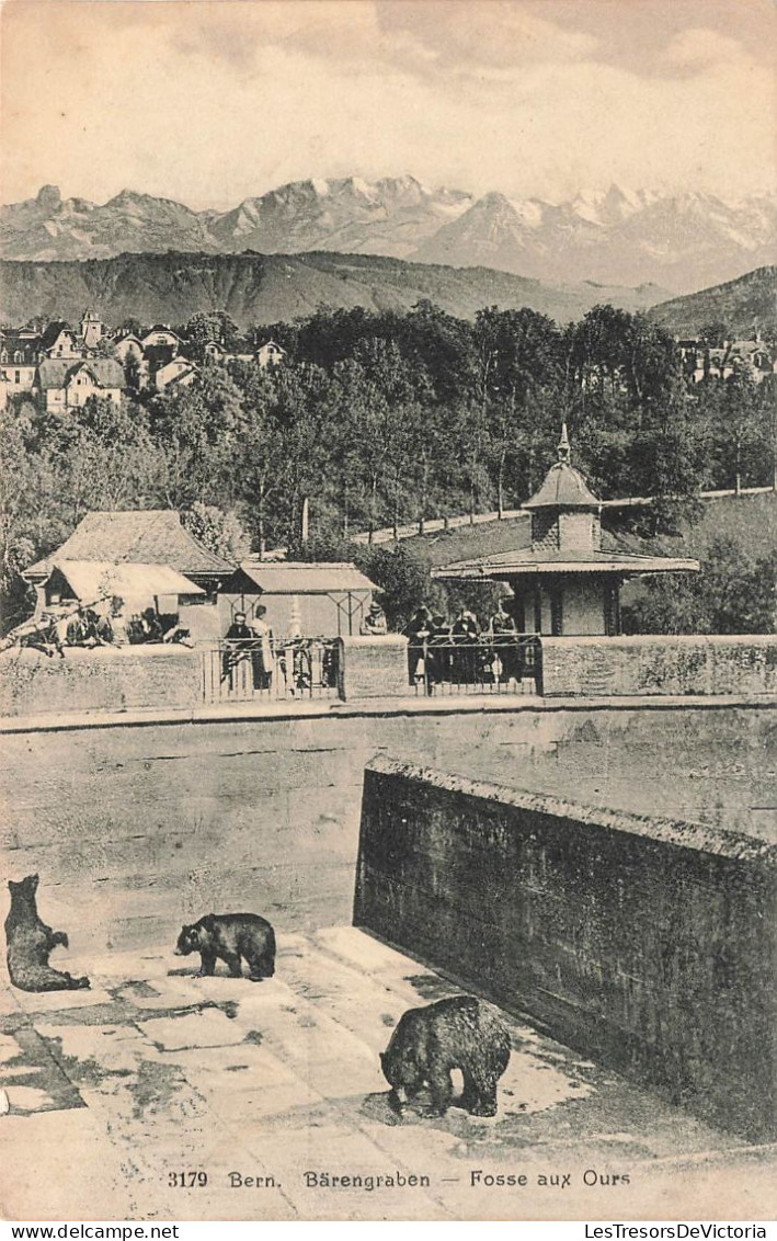 SUISSE - Bern - Barengraben - Fosse Aux Ours - Animé - Vue D'ensemble Du Fosse Aux Ours - Carte Postale Ancienne - Bern