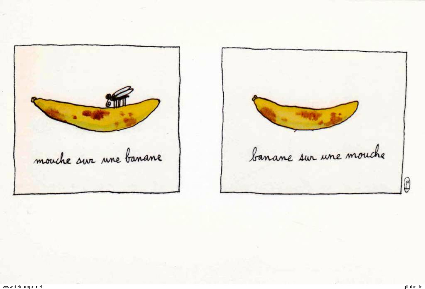 Humour -  Mouche Sur Une Banane -  Banane Sur Une Mouche !! - Humor
