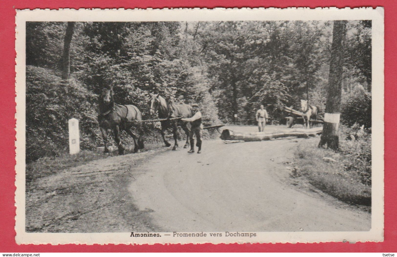 Amonines - Promenade Vers Dochamps ...chevaux De Traits , Débardeurs - 1958 ( Voir Verso ) - Erezée
