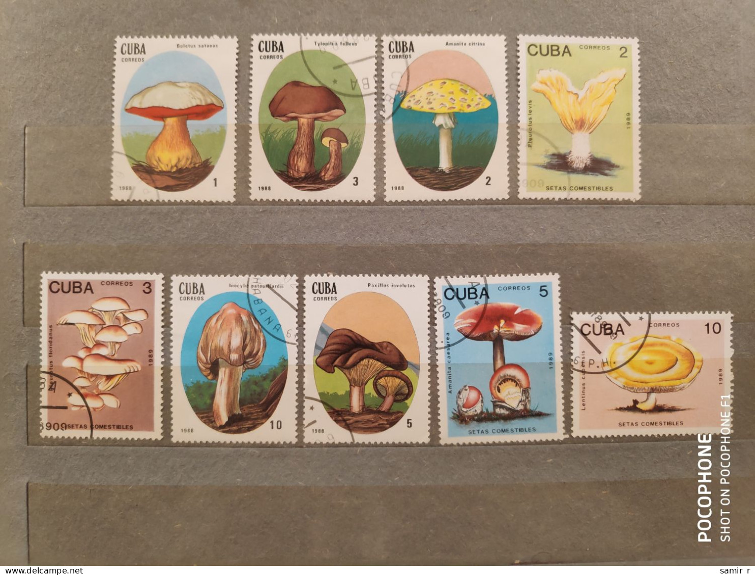 1989	Cuba	Mushrooms (F86) - Oblitérés