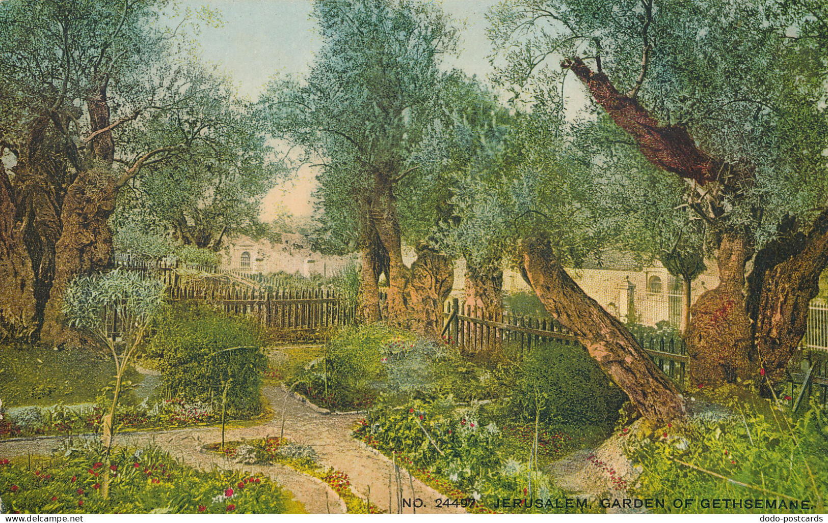 PC37239 Jerusalem. Garden Of Gethsemane. Photochrom. No 24497. B. Hopkins - World