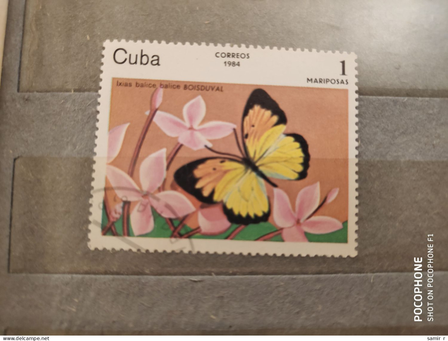 1984	Cuba	Butterflies (F86) - Oblitérés