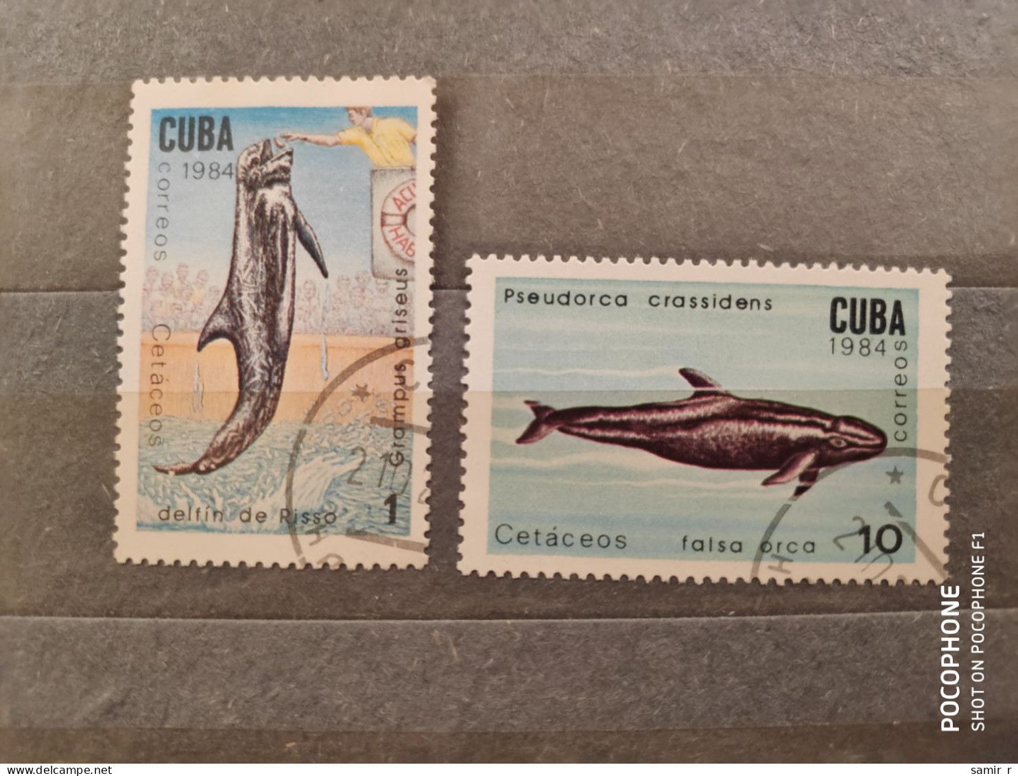 1984	Cuba	Fishes (F86) - Oblitérés