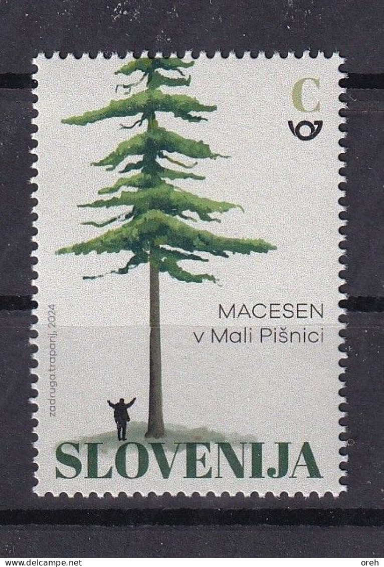 SLOVENIA 2024,FLORA,LARIX,TURISM,The Millennial Larch In The Valley Of The Mala Pišnica,MNH - Arbres