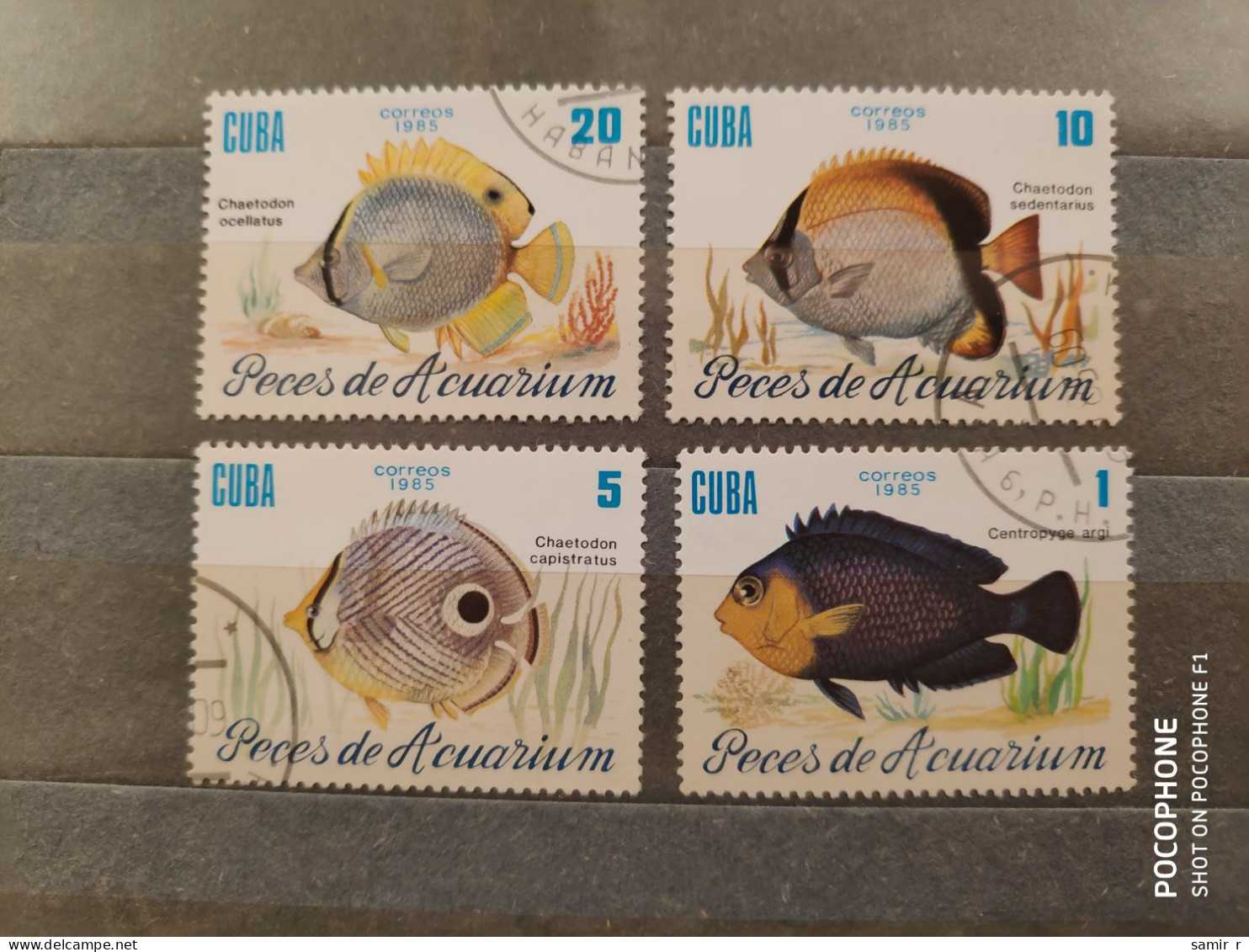 1985	Cuba	Fishes (F86) - Oblitérés