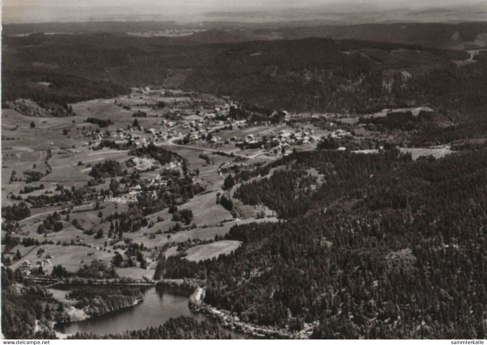 51973 - Häusern - Luftbild - 1971 - Waldshut-Tiengen