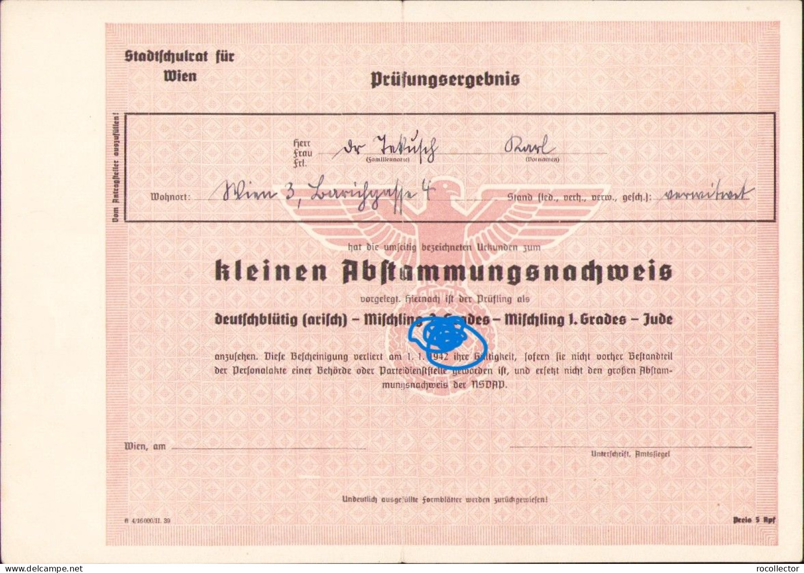 Kleinen Abstammungsnachweis A2404N - Diploma & School Reports