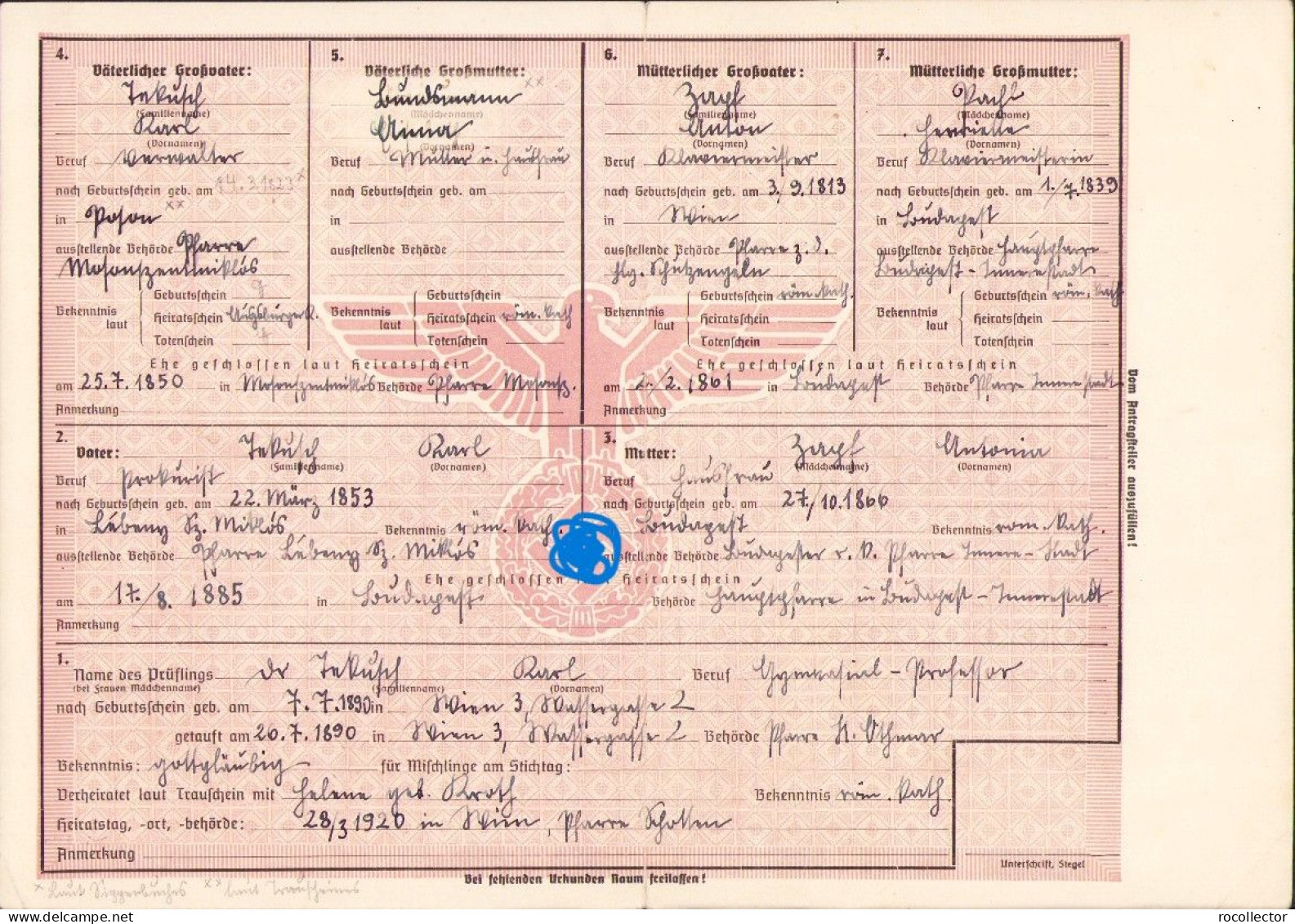 Kleinen Abstammungsnachweis A2404N - Diploma & School Reports