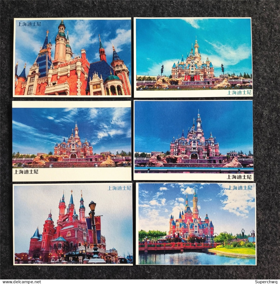 China Postcard 10 Photography Postcards From Shanghai Disneyland - Chine