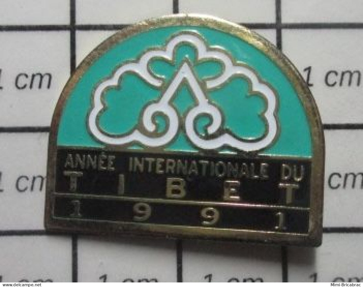 2120 Pin's Pins / Beau Et Rare / AUTRES / 1991 ANNEE INTERNATIONALE DU TIBET Et Un Mathieu Ricard Sinon Rien !!! - Andere & Zonder Classificatie