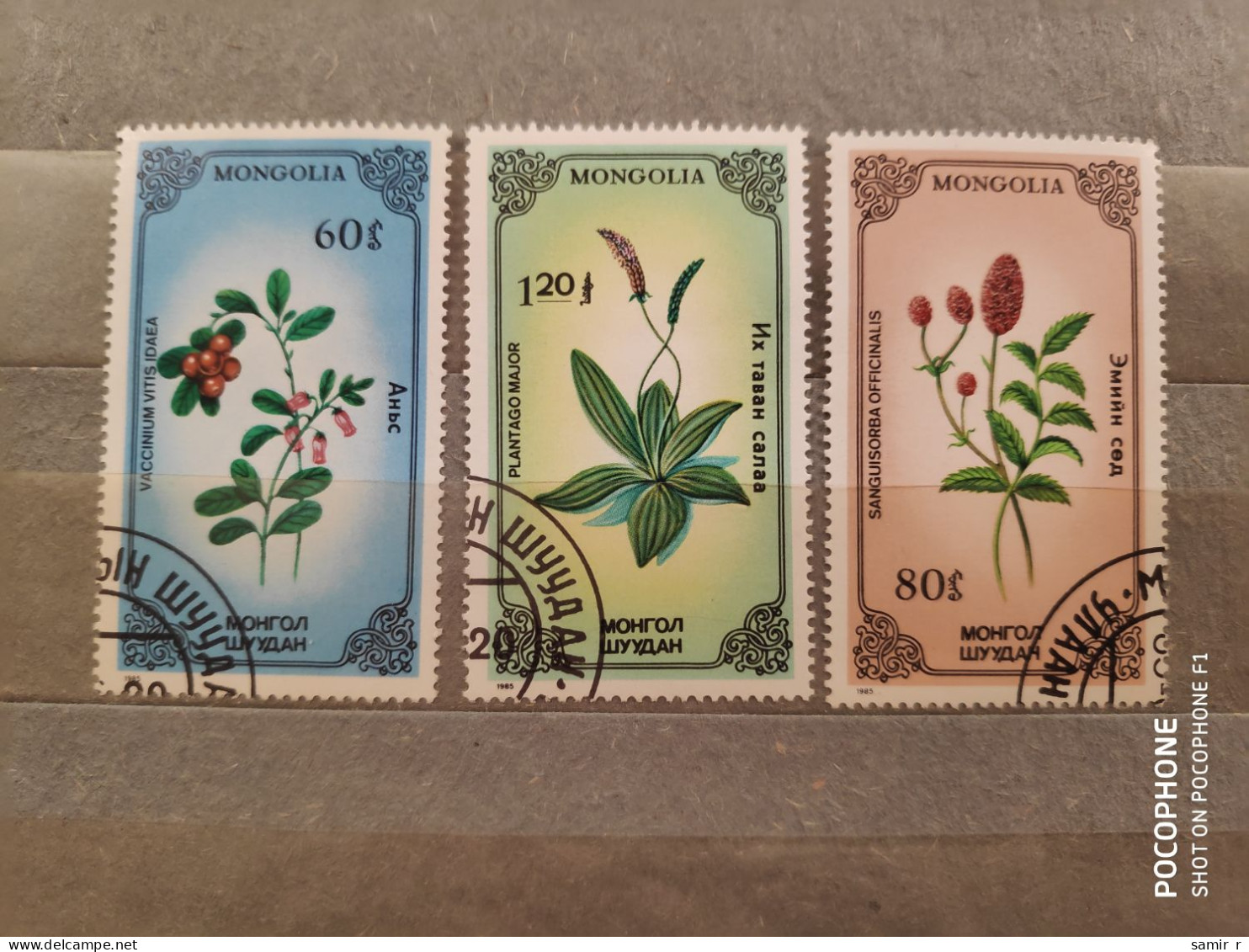 1985	Mongolia	Flowers (F86) - Mongolia