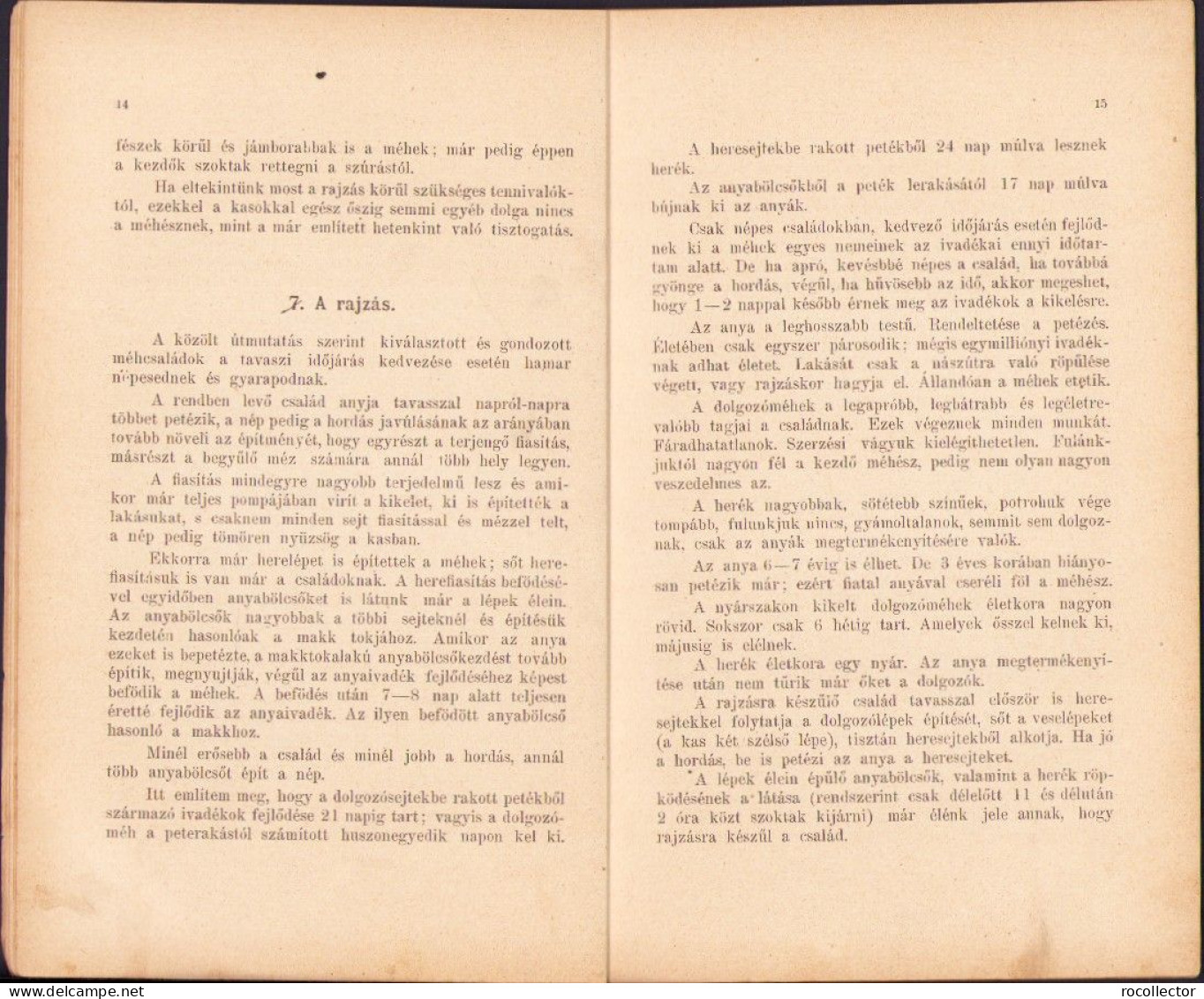 A Kezdő Méhész Irta Nagy Géza 1913 Temesvar C4138N - Alte Bücher