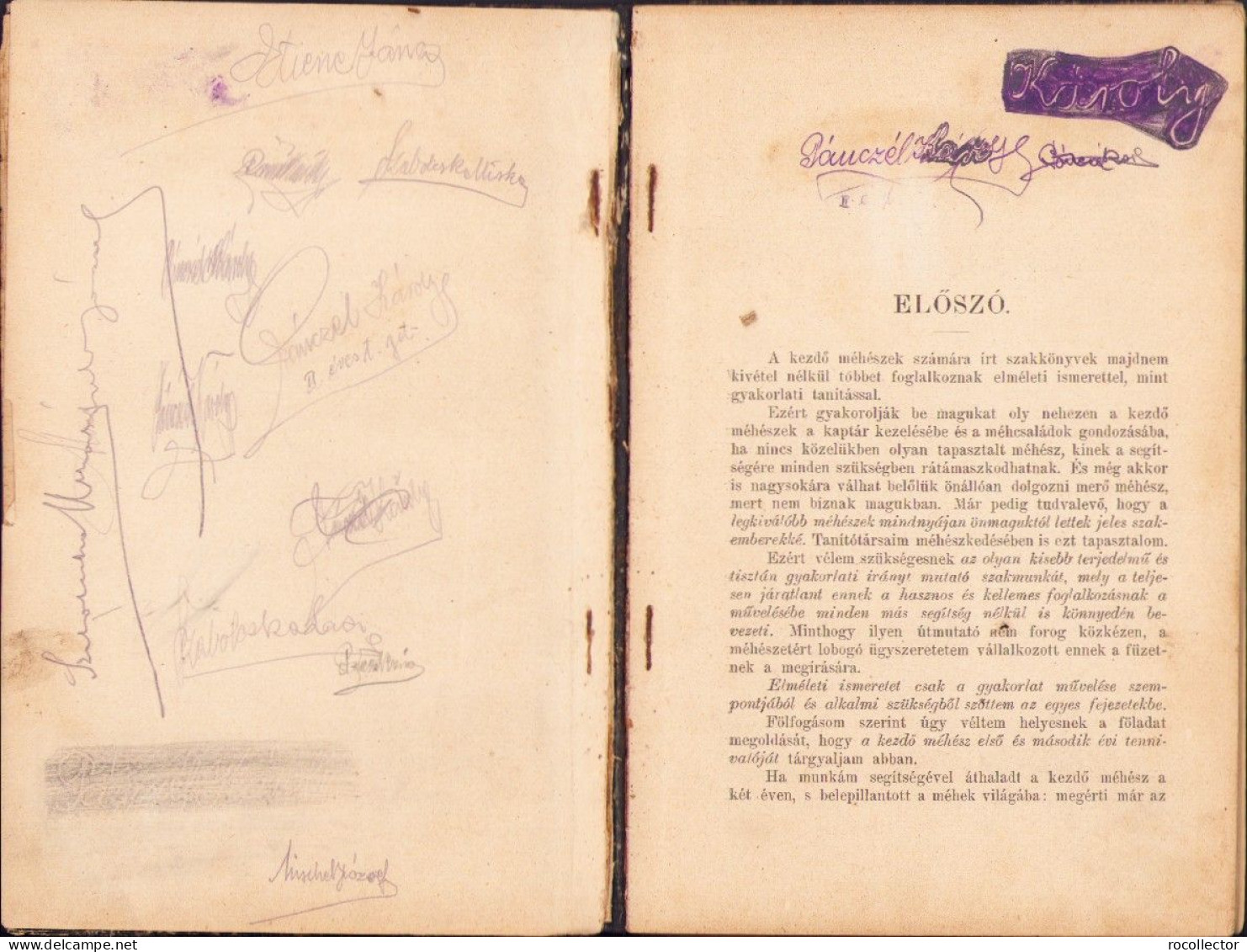 A Kezdő Méhész Irta Nagy Géza 1913 Temesvar C4138N - Alte Bücher