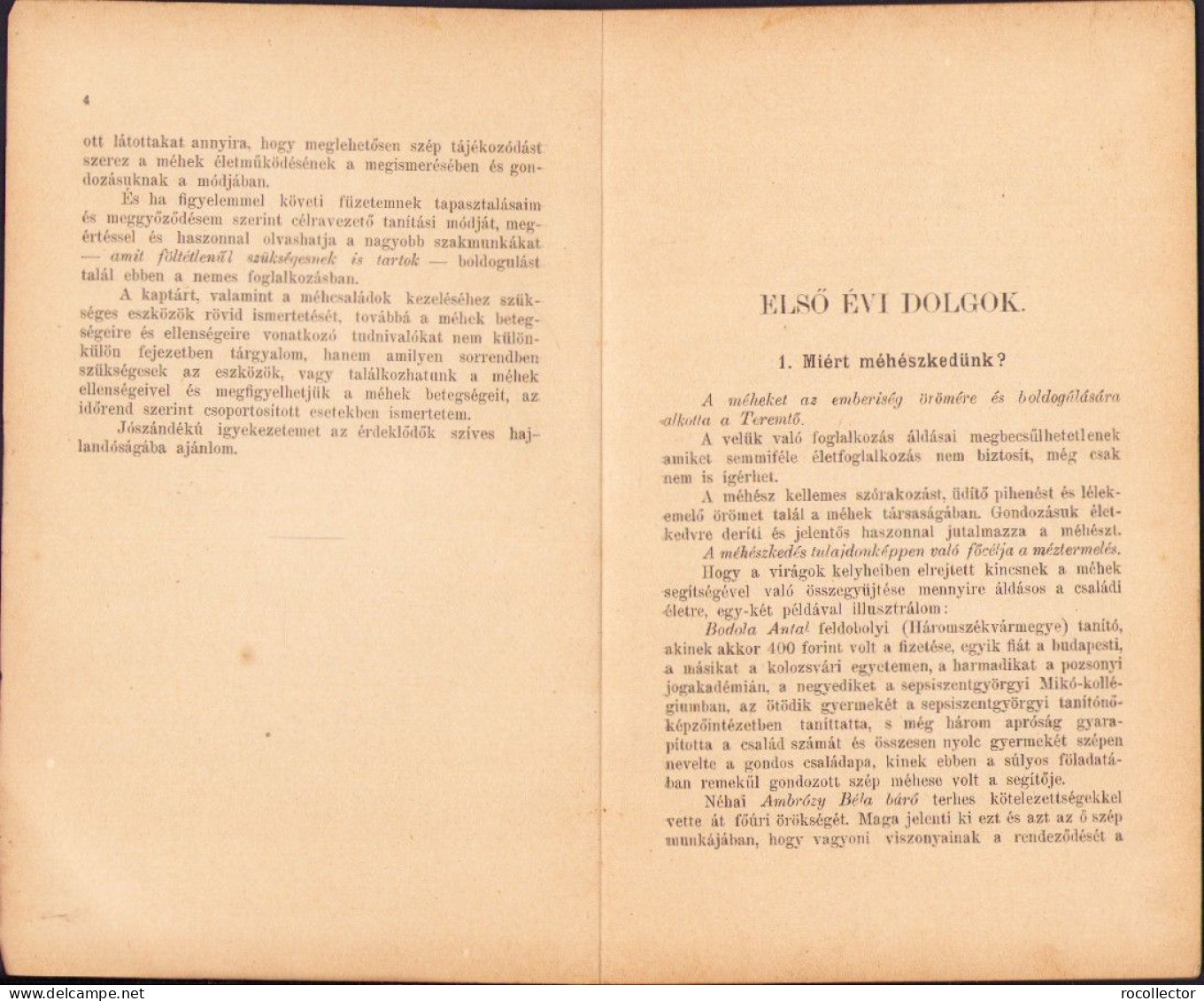 A Kezdő Méhész Irta Nagy Géza 1913 Temesvar C4138N - Livres Anciens