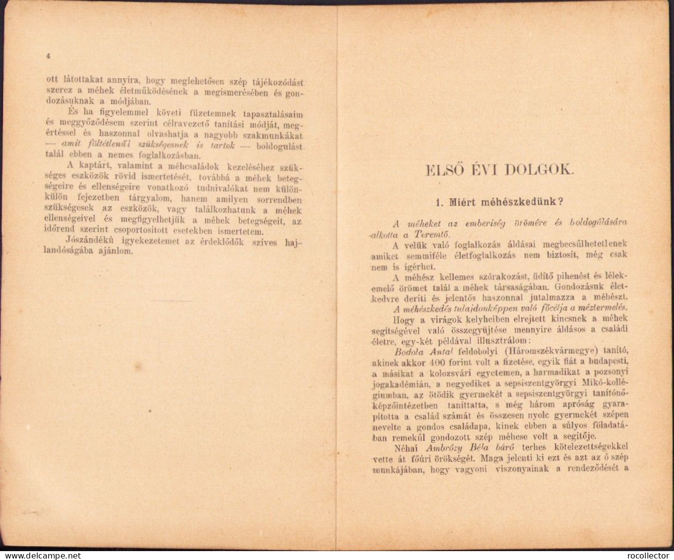 A Kezdő Méhész Irta Nagy Géza 1913 Temesvar C4138N - Alte Bücher