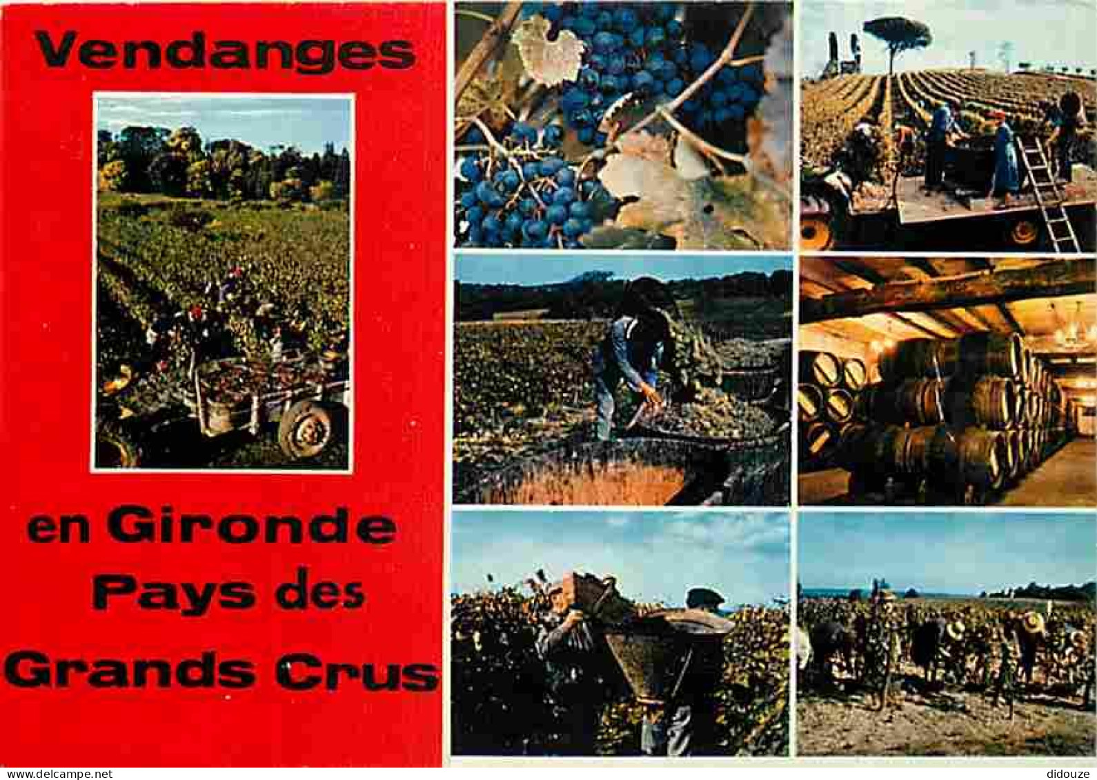 Vignes - Vendanges En Gironde Au Pays Des Grands Crus - Multivues - CPM - Voir Scans Recto-Verso - Wijnbouw