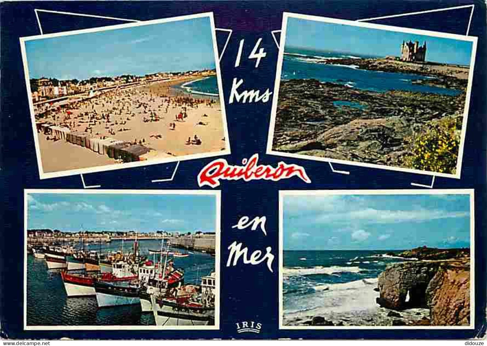 56 - Presqu'Ile De Quiberon - Multivues - Bateaux - CPM - Voir Scans Recto-Verso - Quiberon