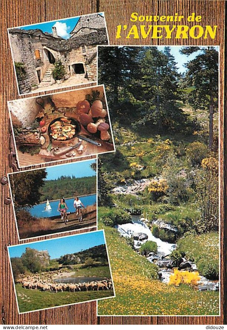 12 - Aveyron - Multivues - CPM - Carte Neuve - Voir Scans Recto-Verso - Autres & Non Classés