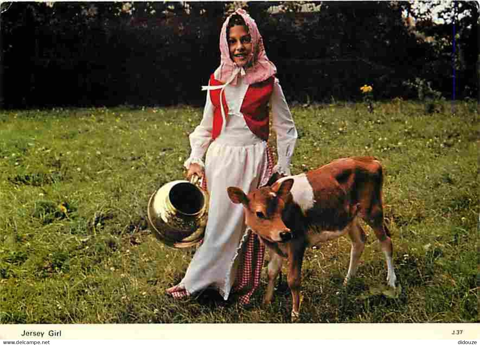 Animaux - Vaches - Jersey - Jersey Girl - Veau - Folklore - Carte Neuve - CPM - Voir Scans Recto-Verso - Cows