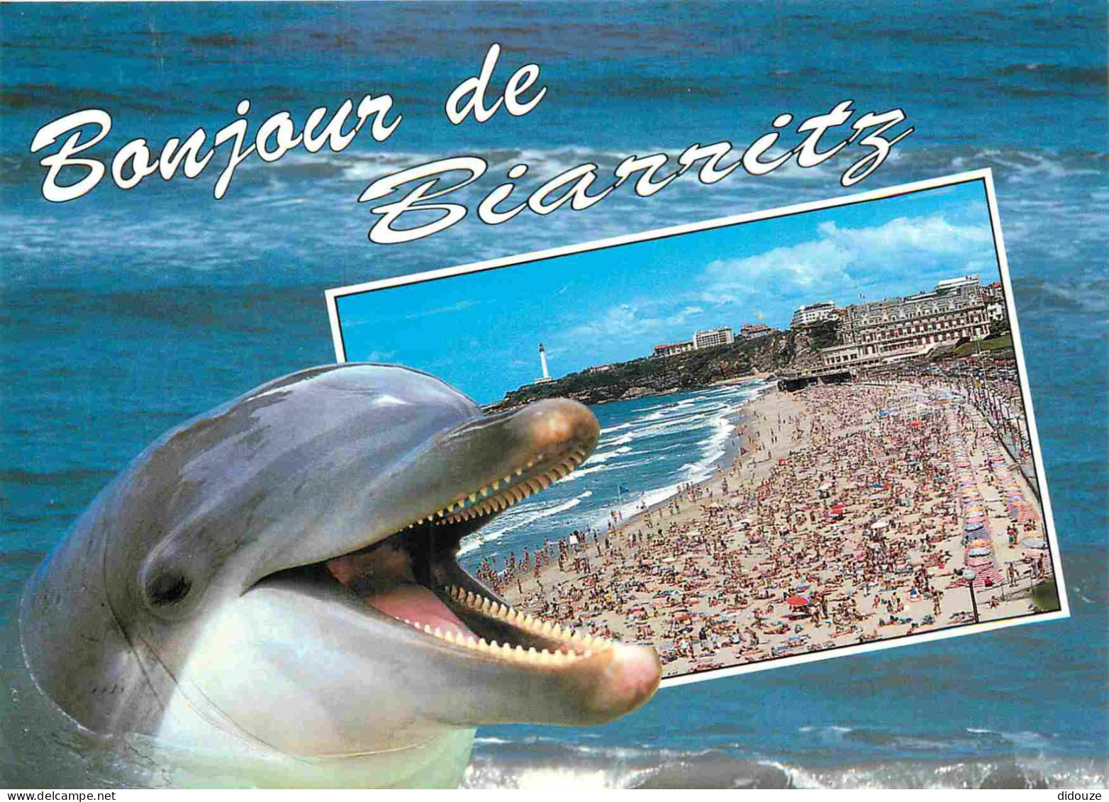 Animaux - Dauphin - Dolphin - Biarritz - CPM - Voir Scans Recto-Verso - Delfines
