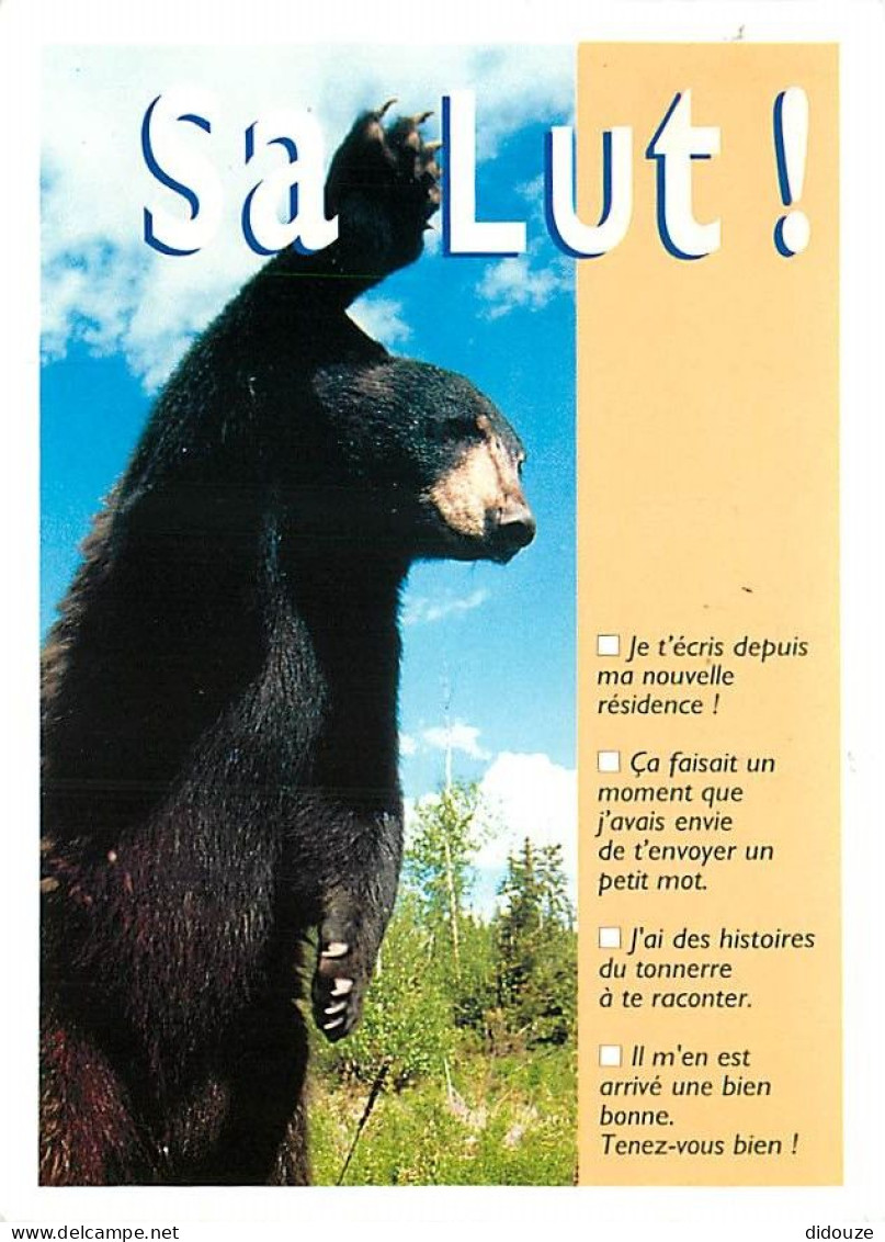 Animaux - Ours - Carte à Message Et Ou Humoristique - CPM - Voir Scans Recto-Verso - Bears