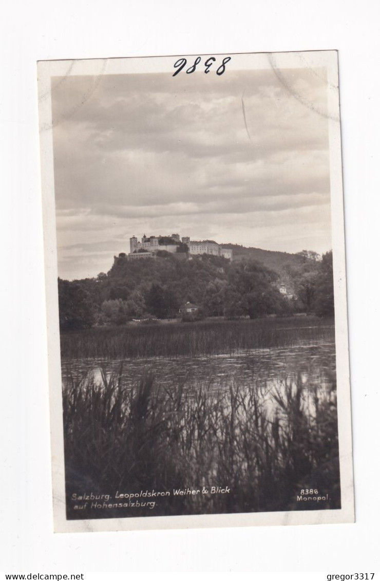 E6207) SALZBURG - Leopoldskron WEIHER & Blick Auf Hohensalzburg ALT ! - Other & Unclassified