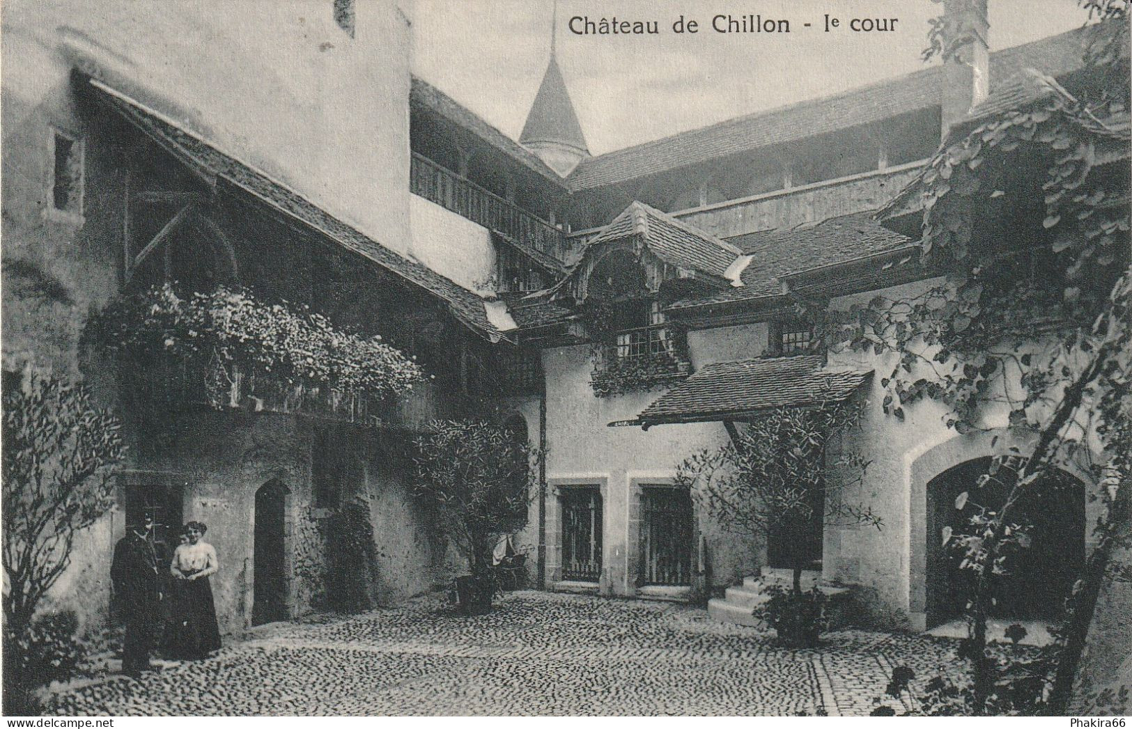 CHAT DE CHILLON - Châtillens