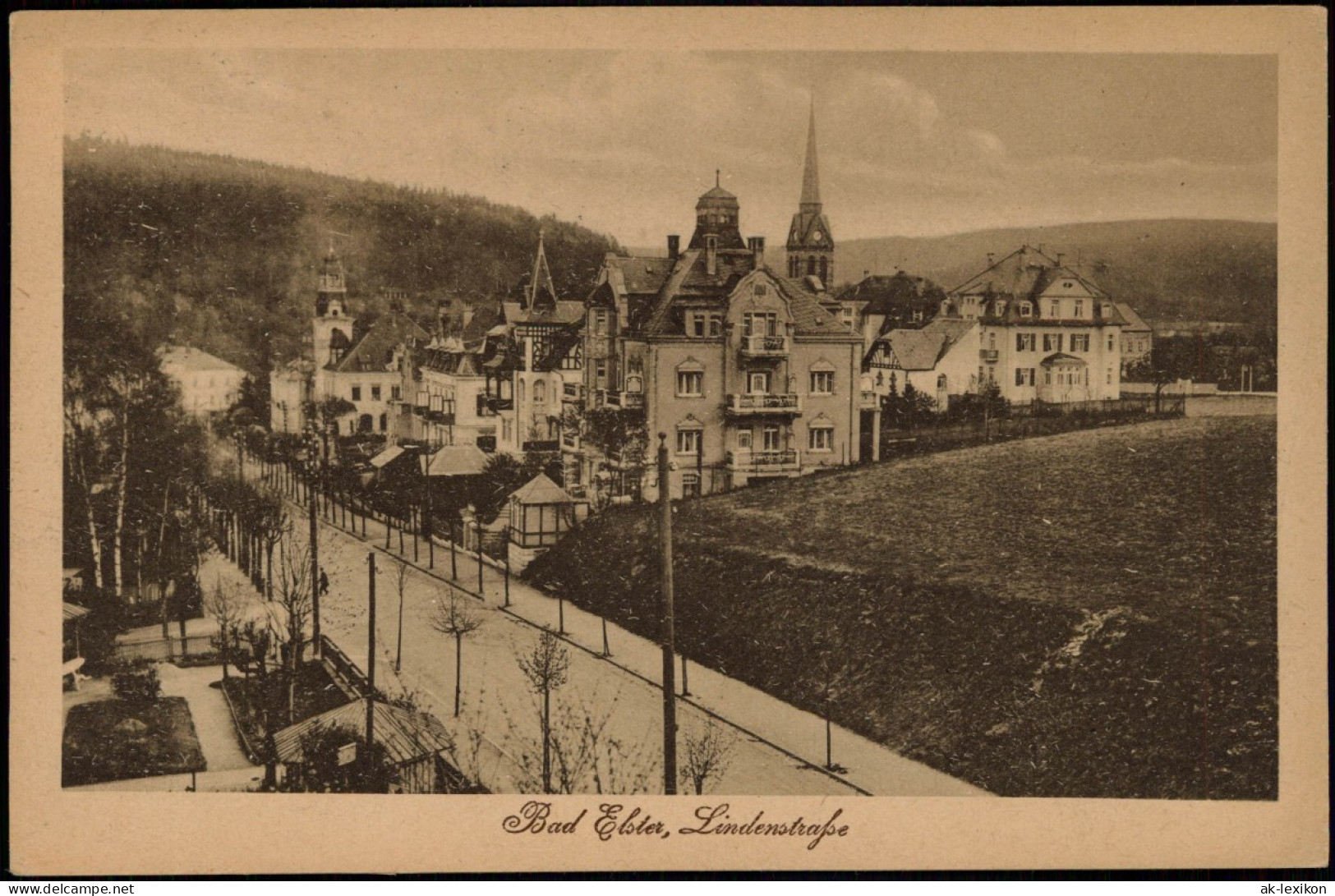 Ansichtskarte Bad Elster Lindenstraße 1921 - Bad Elster