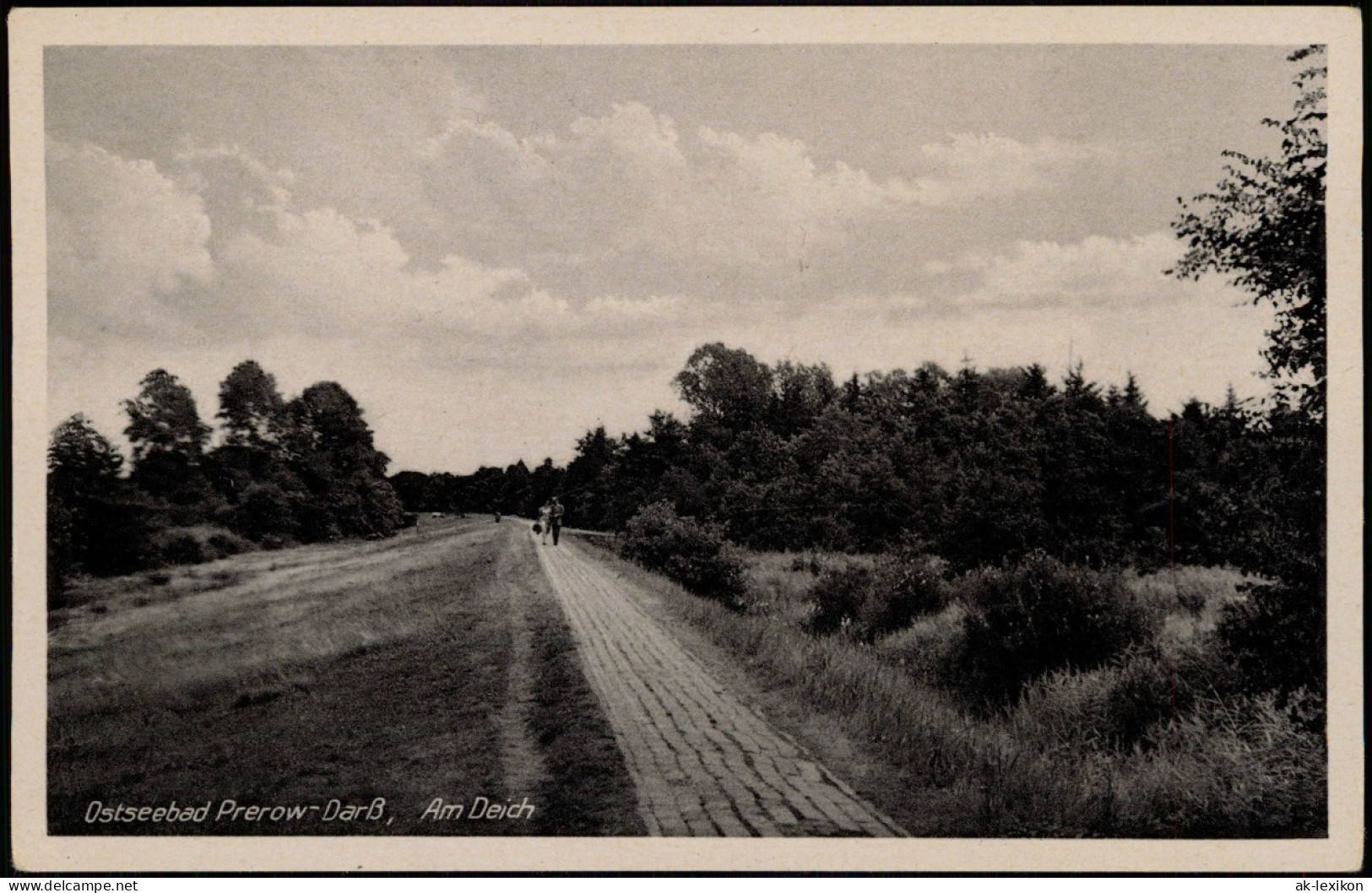 Ansichtskarte Prerow Am Deich 1956 - Seebad Prerow