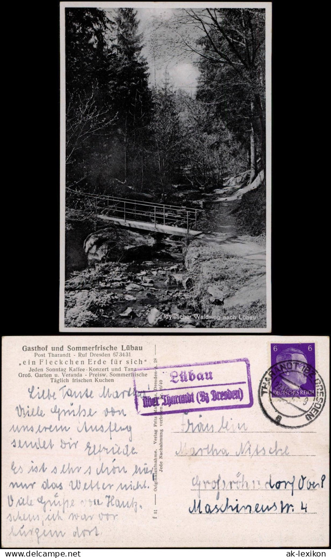 Ansichtskarte Lübau-Rabenau Waldweg 1941  Gel. Landpoststempel über Tharandt - Rabenau