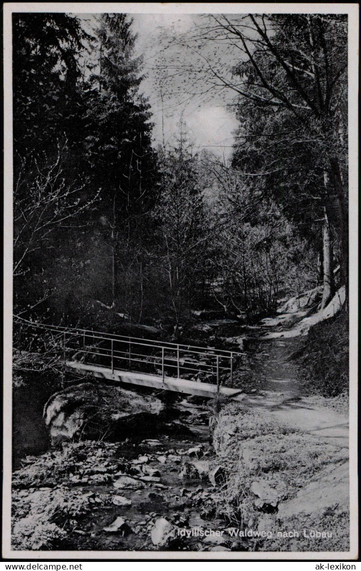 Ansichtskarte Lübau-Rabenau Waldweg 1941  Gel. Landpoststempel über Tharandt - Rabenau