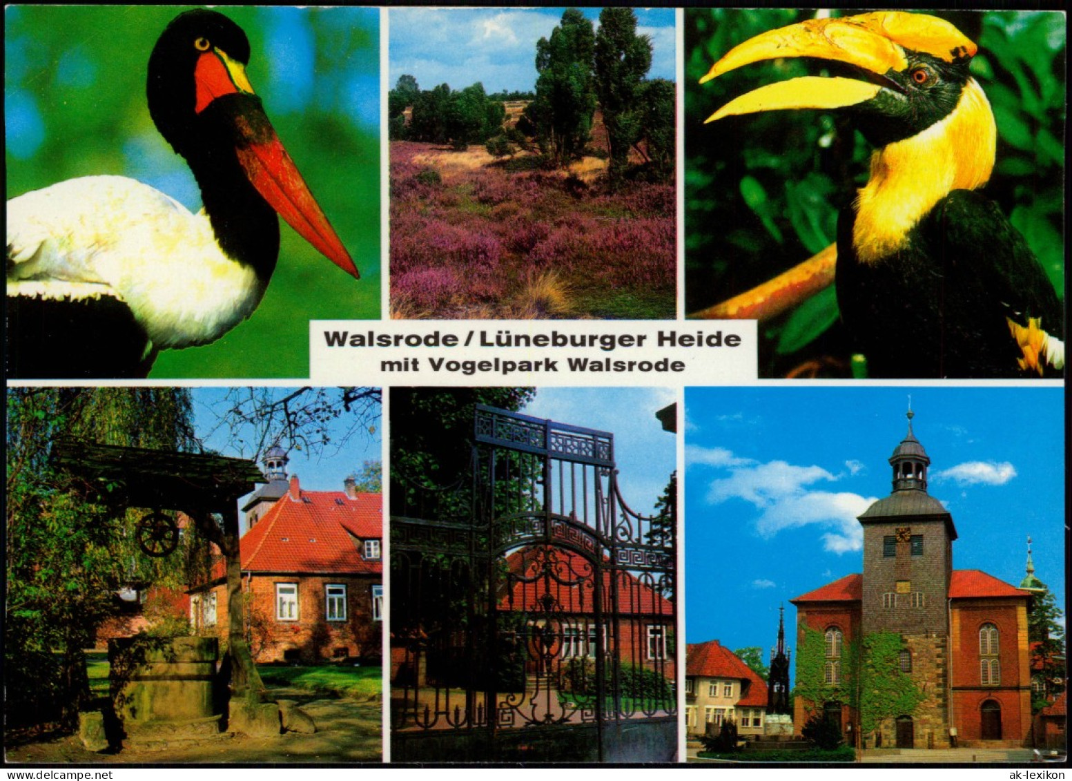 Ansichtskarte Walsrode Mit Vogelpark Walsrode Mehrbild 1976 - Walsrode