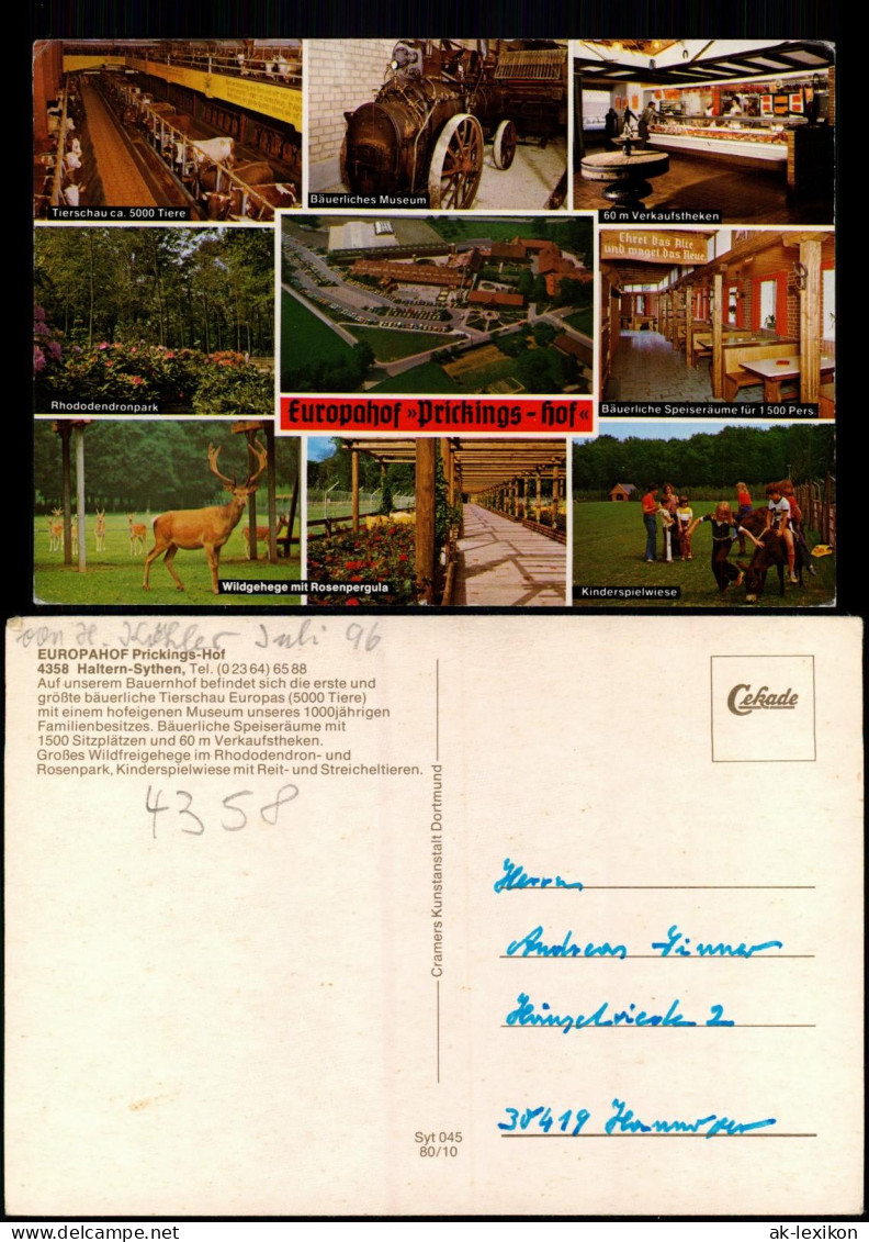 Ansichtskarte Sythen-Haltern Am See Europahof Prickings - Hof, Mehrbild 1980 - Haltern